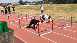 Лиманские студенты активно проводят каникулы 